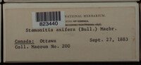 Image Associated With the Occurence